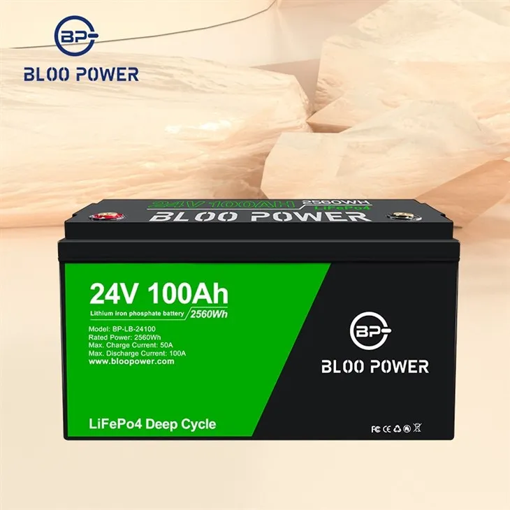Customizing from 12V to 48V are available